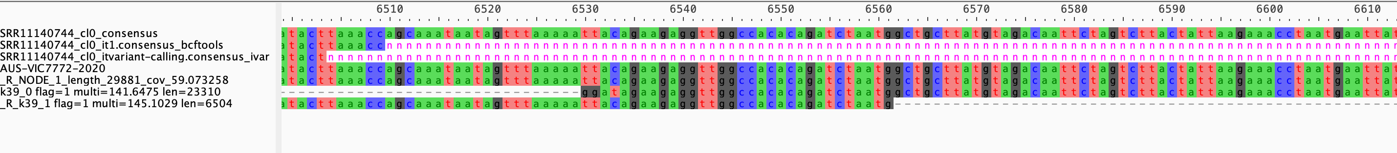 MSA alignment jalview