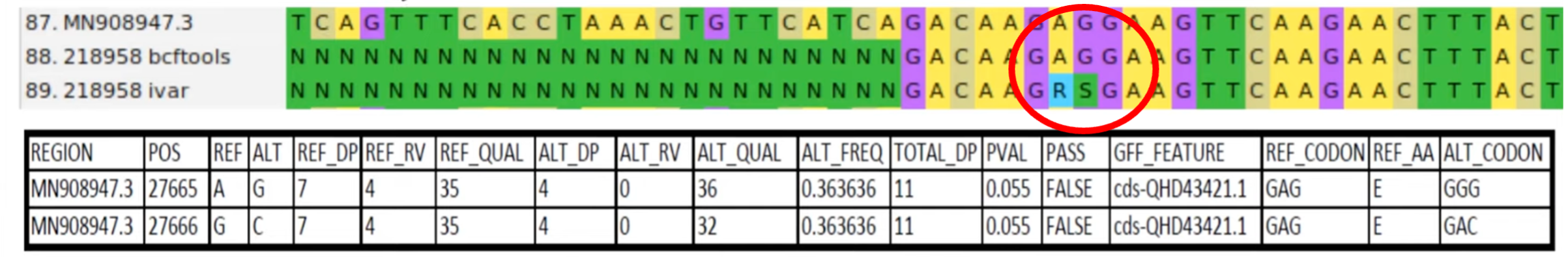 multi-allelic sites ivar vs bcftools