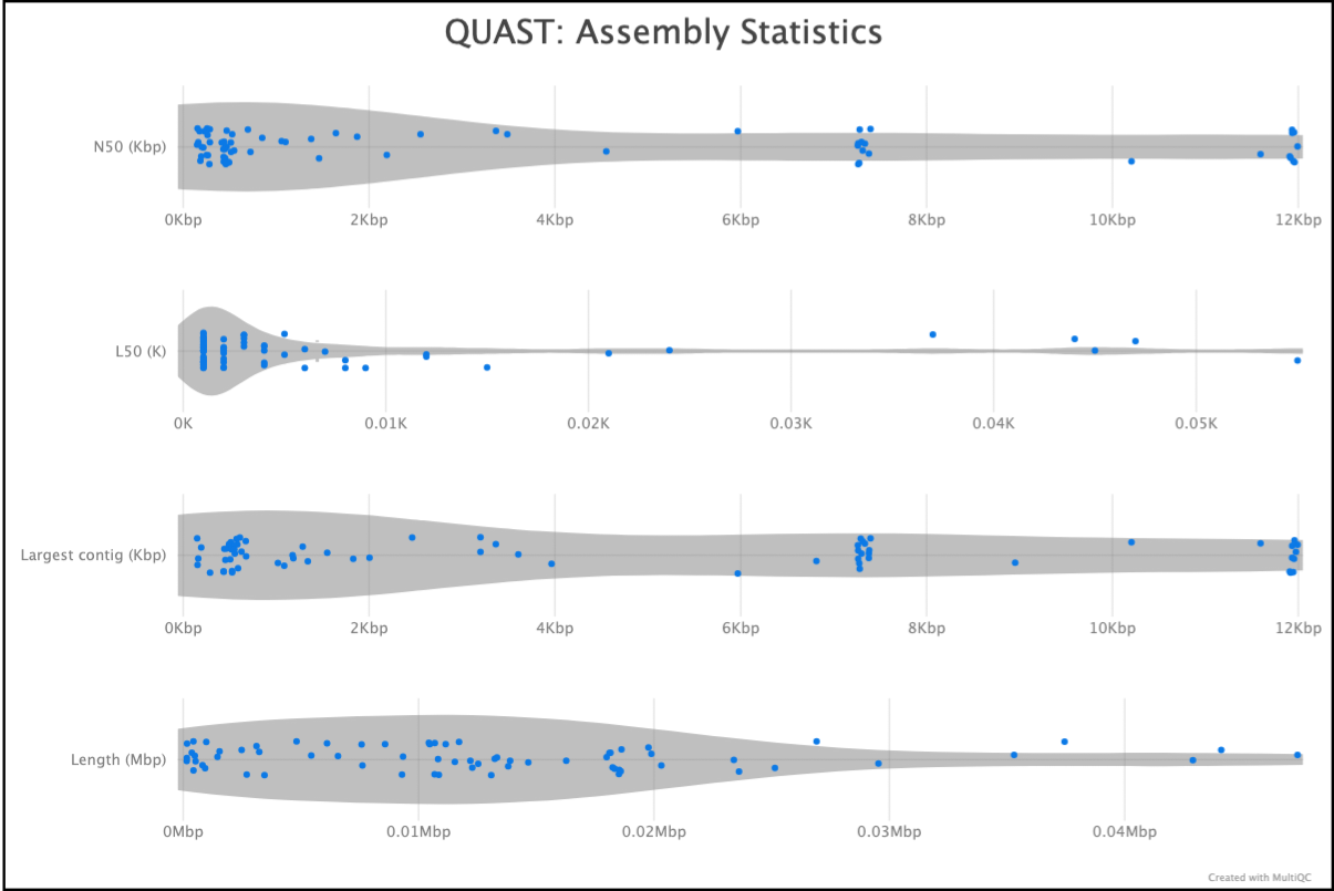 MultiQC - QUAST assembly statistics