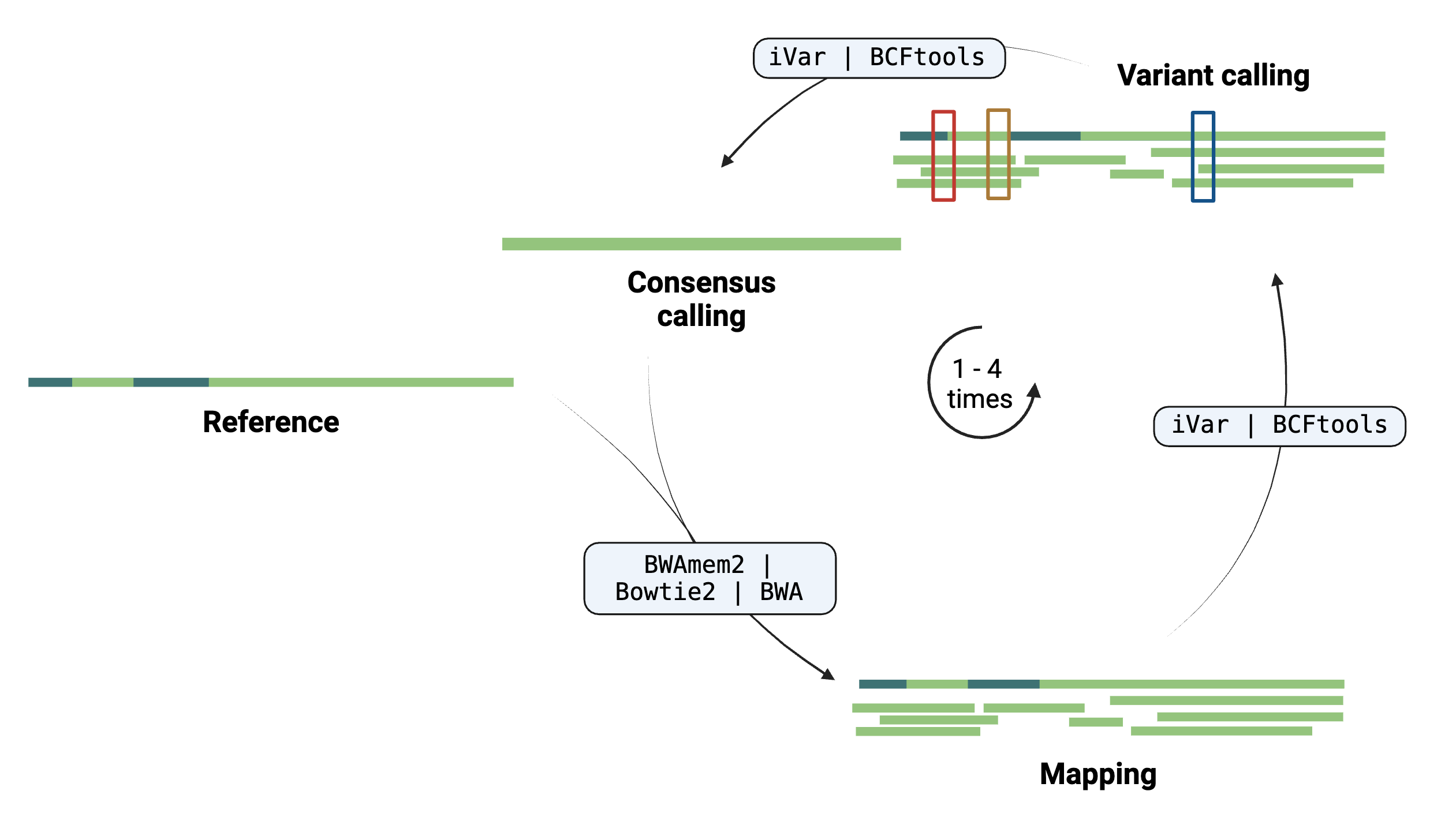 variant and refinement